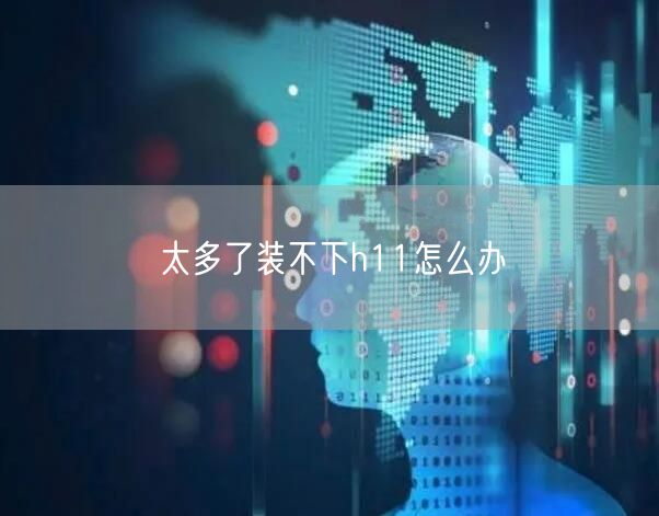 太多了裝不下(xià)h11怎麼辦(圖1) 太多了裝不下(xià)h11怎麼辦(圖1)
